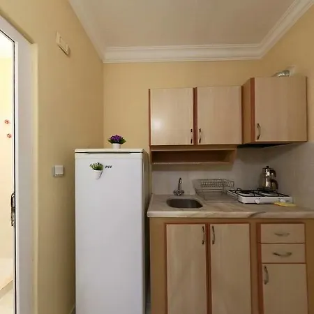 公寓式酒店 Avsa Korhan Apart Türkeli